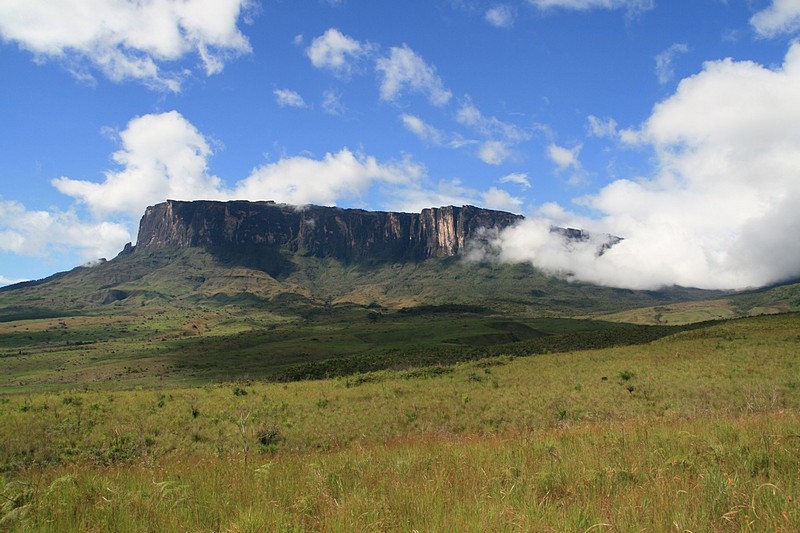 צילום: Vitali Gil