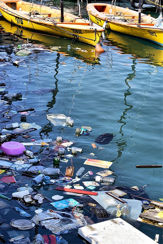 איכות חיים וסביבה