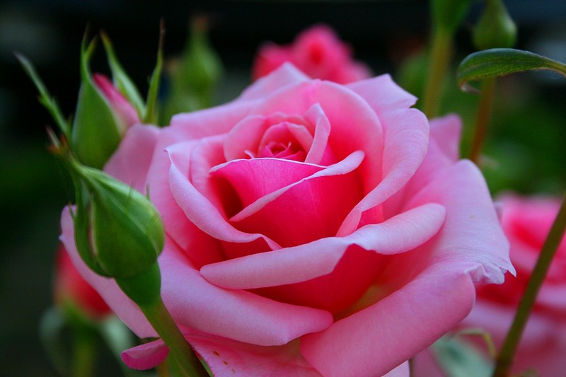 צילום: אירית ויינשטיין