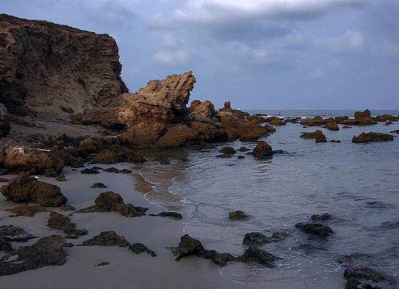 סלעים בחוף