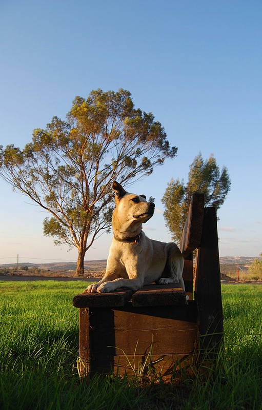 יושב ומחכה 2