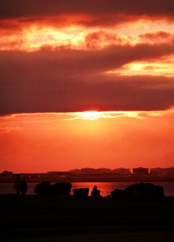 צילום: יניב שטיינברג
