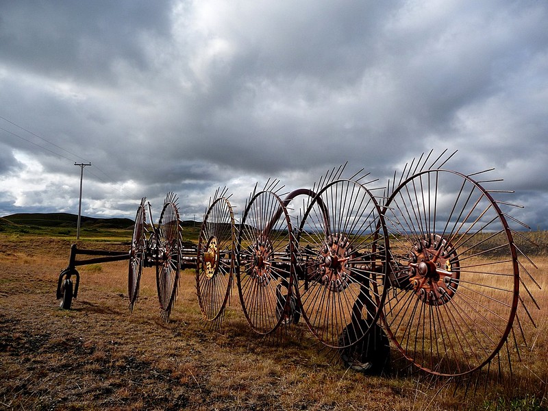 צילום: יניב שטיינברג