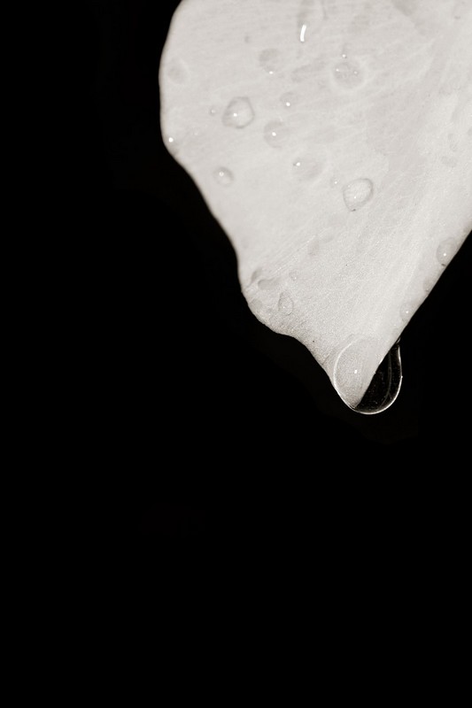 תחילת החורף