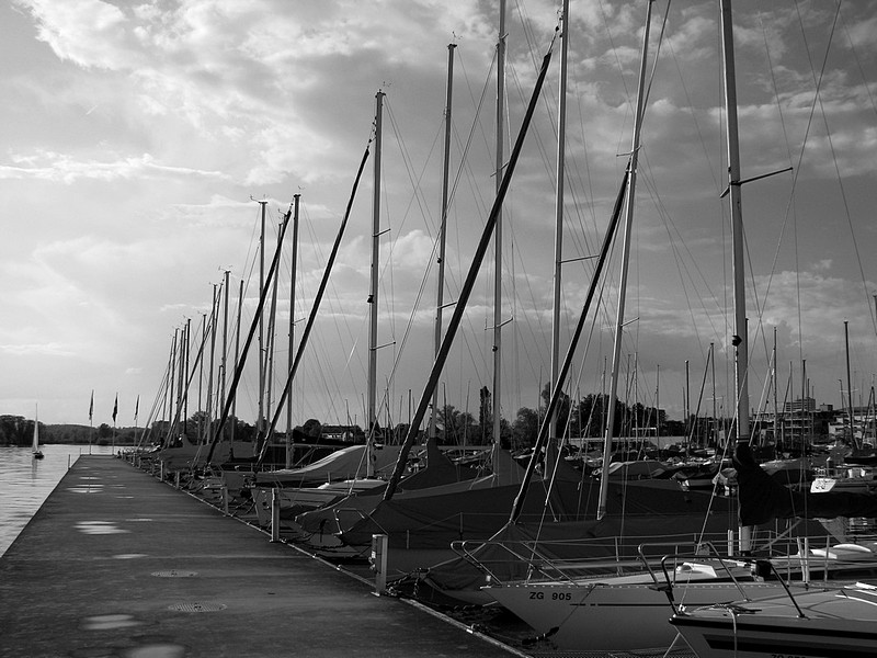 צילום: Yonathan Y