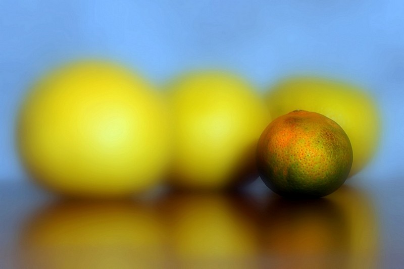 פרופורציה - הדרים