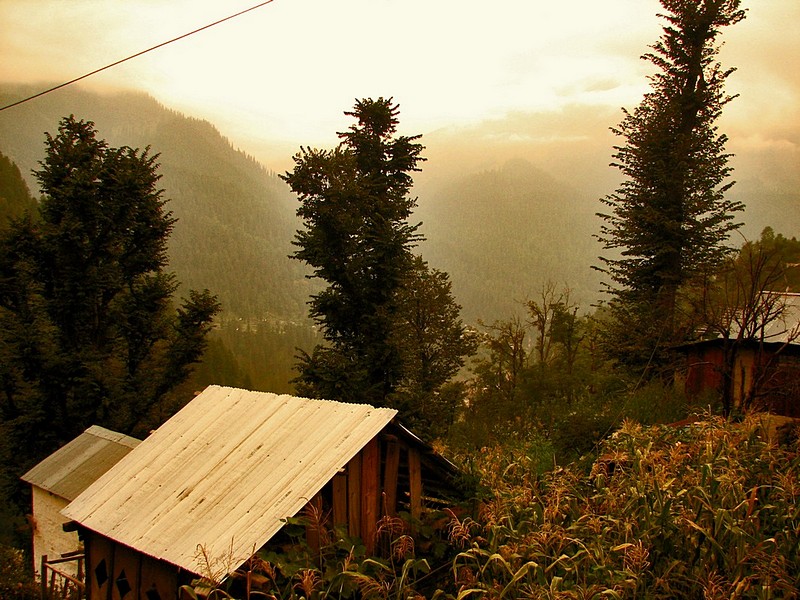 In The Evening