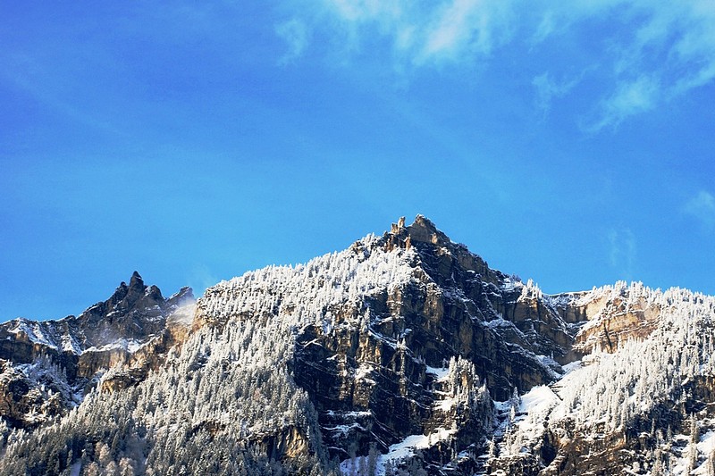 צילום: Yonathan Y