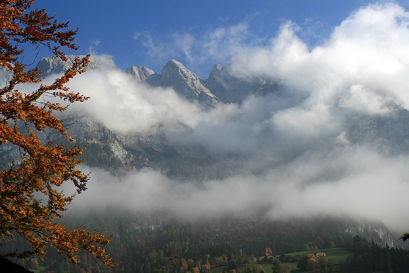 Misty mountain