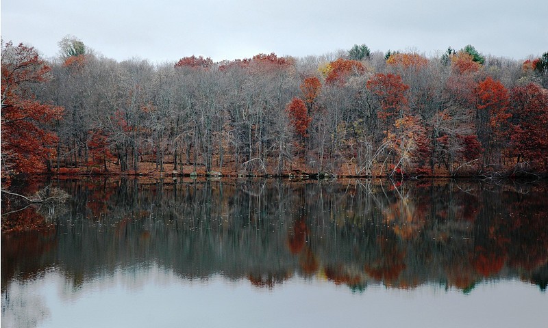 השתקפות סתווית (2)