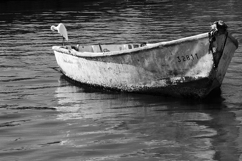 ראיתי פעם חוף