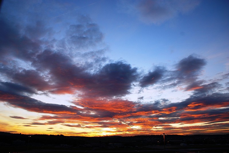 צילום: Yonathan Y