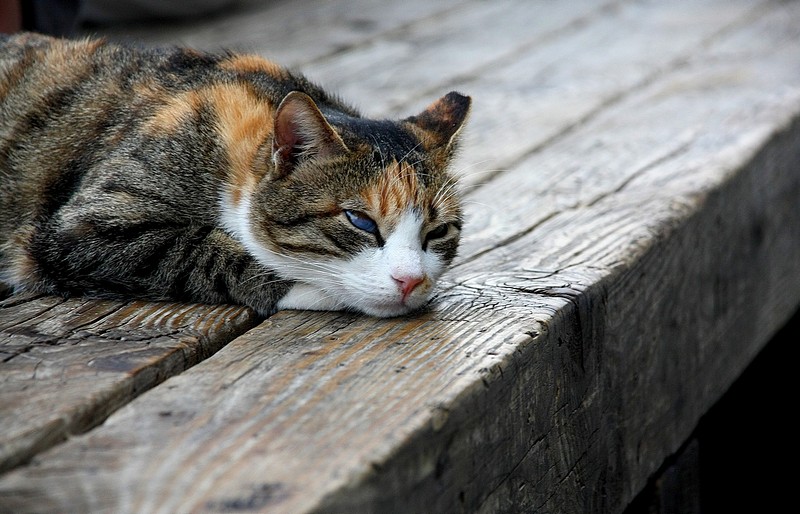יום קשה, תעזוב אותי...