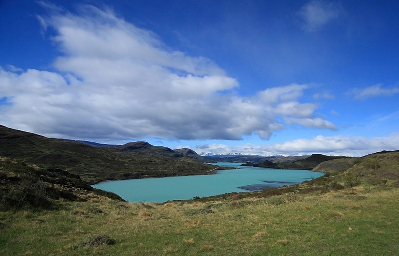לטבול בתכלת