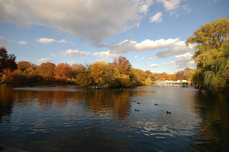 סנטראל פארק מנהטן(2)