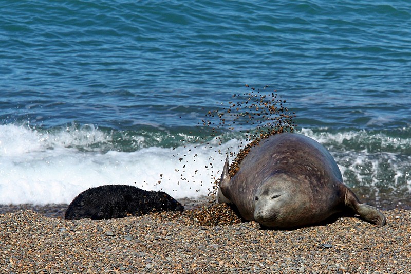 מגרד לי הגב ילד