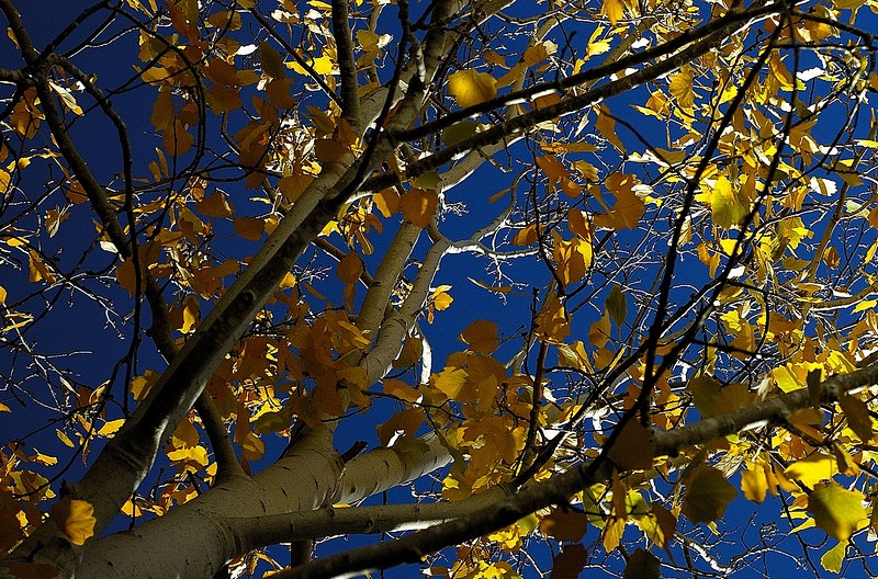 צילום: מעוז טל