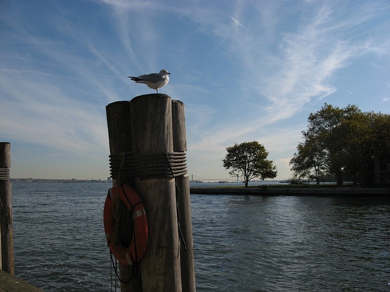צילום: ענת בן דוד