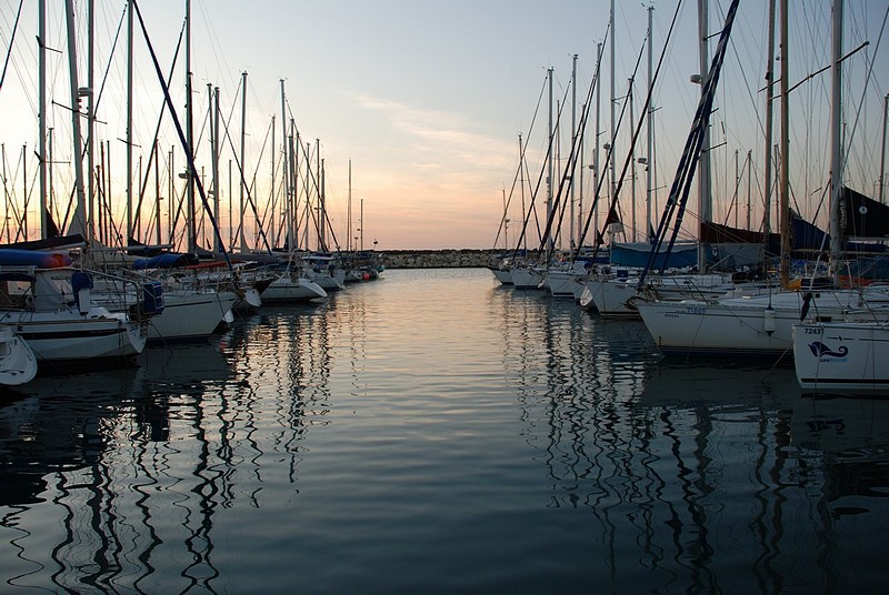 צילום: יובל שמשי