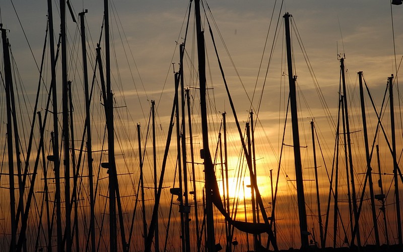 צילום: יובל שמשי