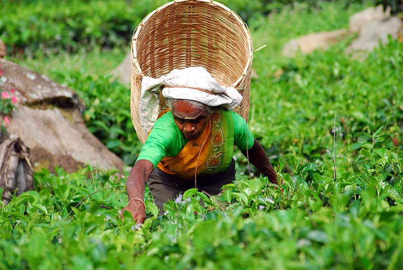 צילום: דורון  אבימור