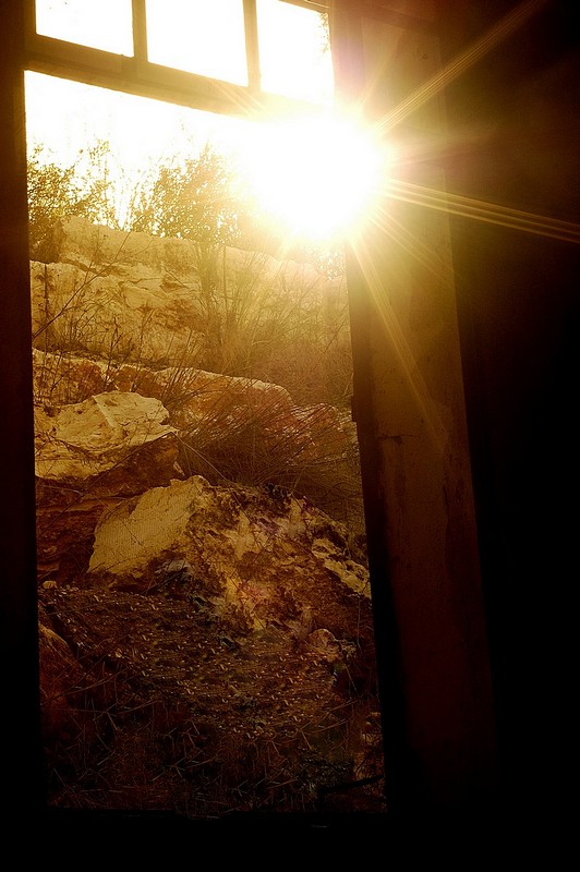 צילום: מעוז טל