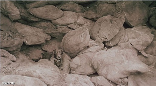 הנסיך מכה שנית