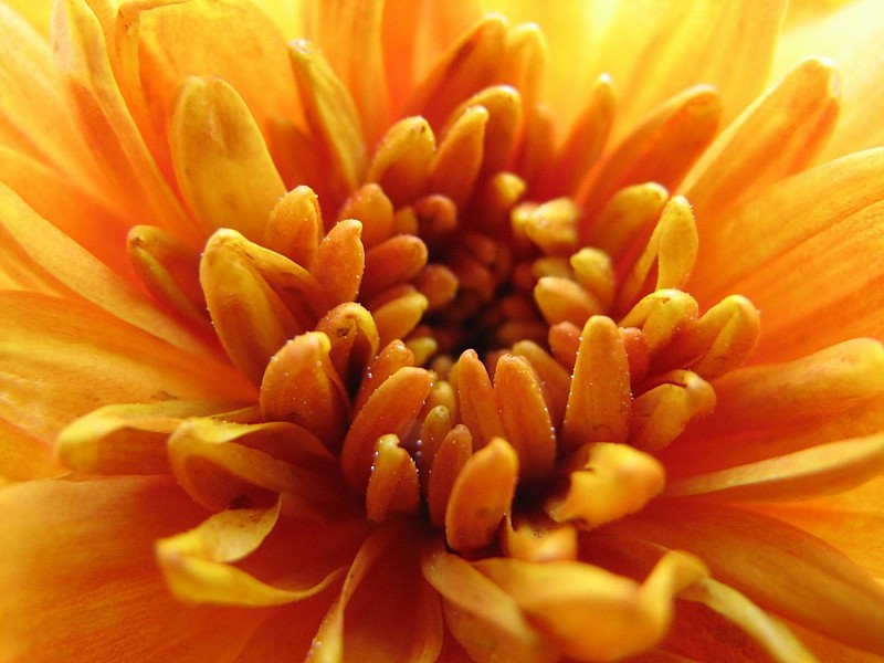 צילום: יפית בשבקין