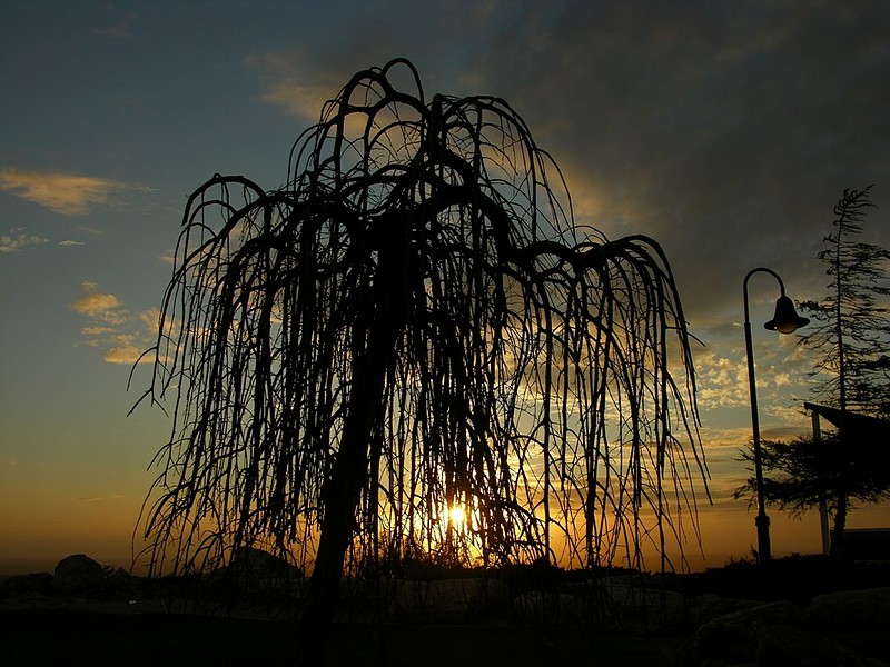 מחכה לשקיעה 