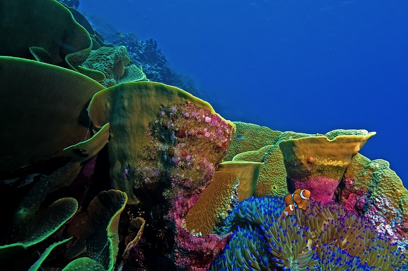 שיכון לזוגות צעירים