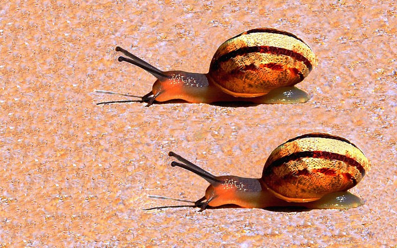 למקומות היכון.........