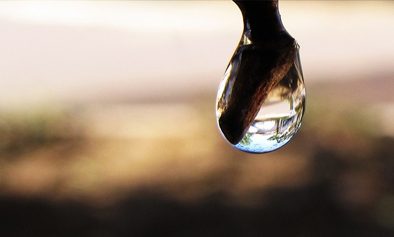 צילום: איתי סבי