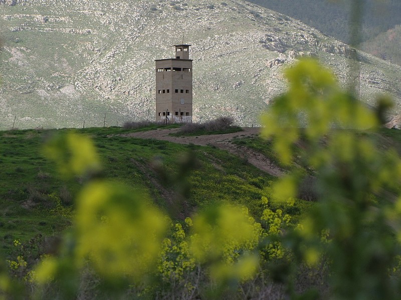 צילום: איתי סבי