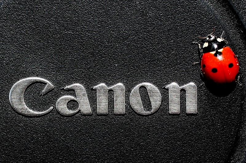 לשאוף גבוה- קנון