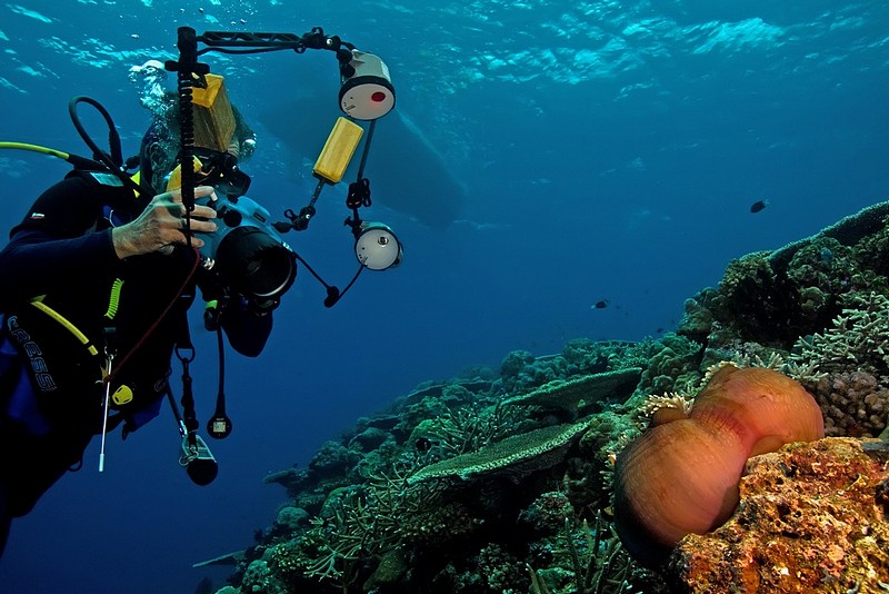 מקצוענות אמיתית