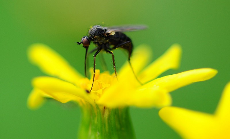 צילום: עידן  מיגמי