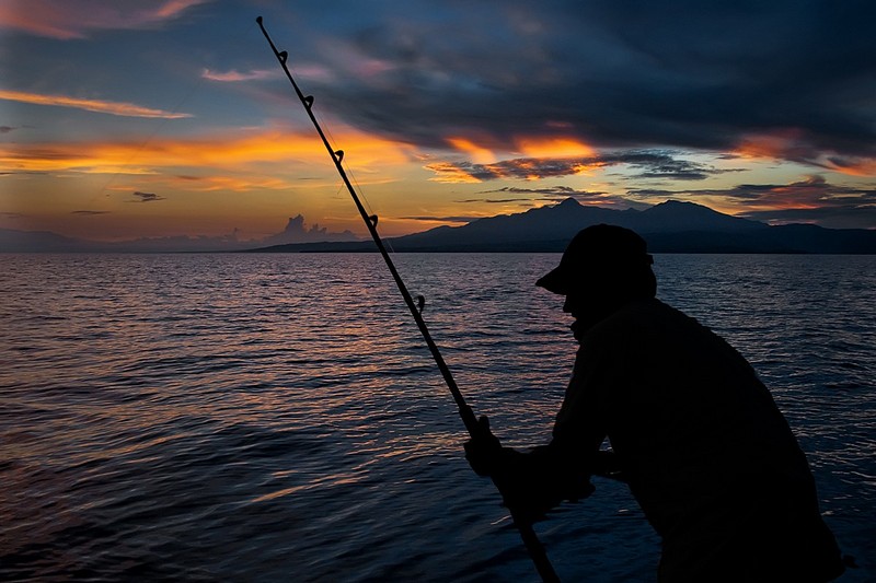 הפעם הדגים ניצחו...