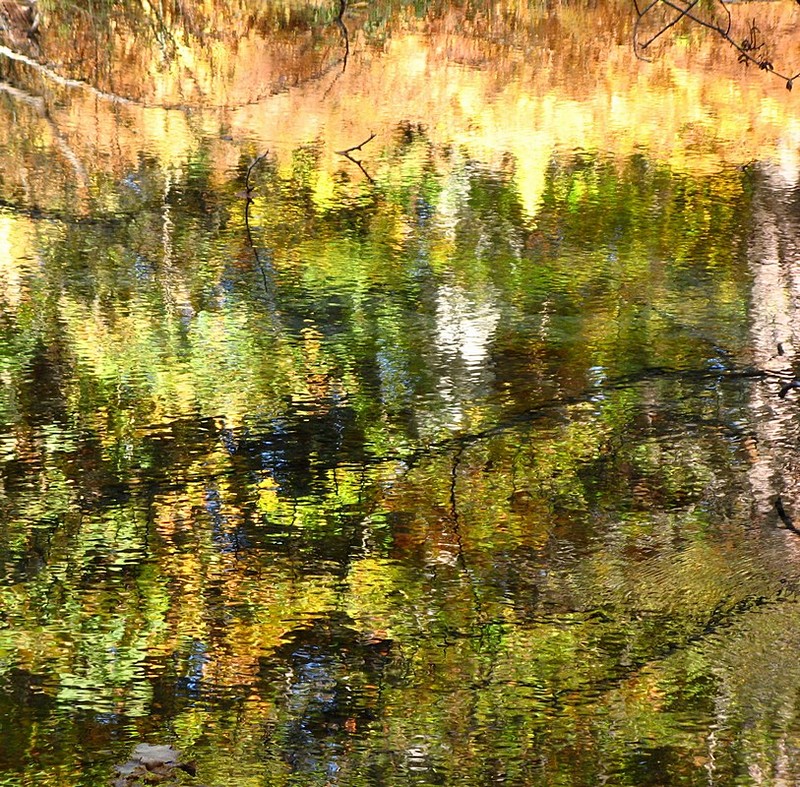 צילום: אלה אביר