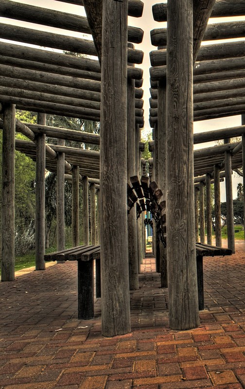 צילום: נועם מימון