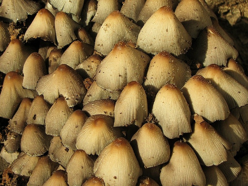 צילום: איתי סבי