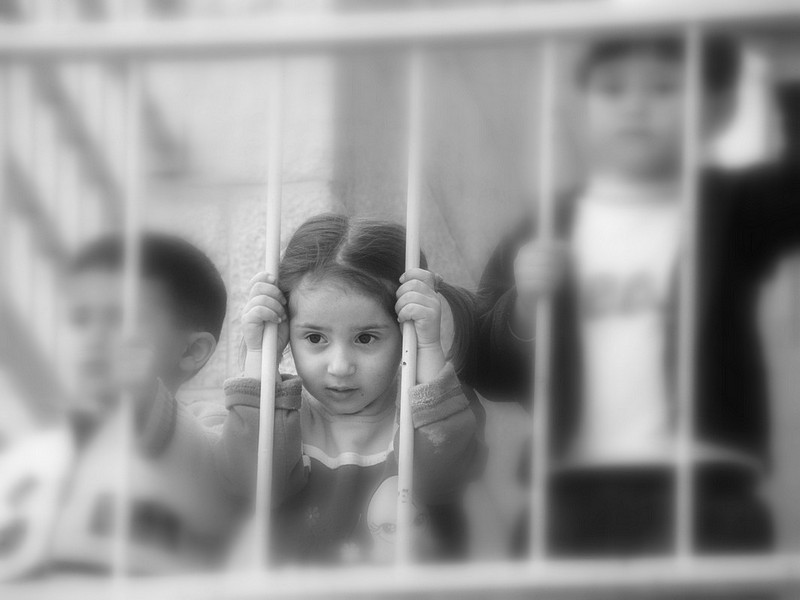 צילום: אליהו אמסלם