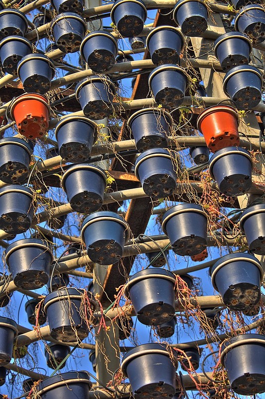 צילום: נועם מימון