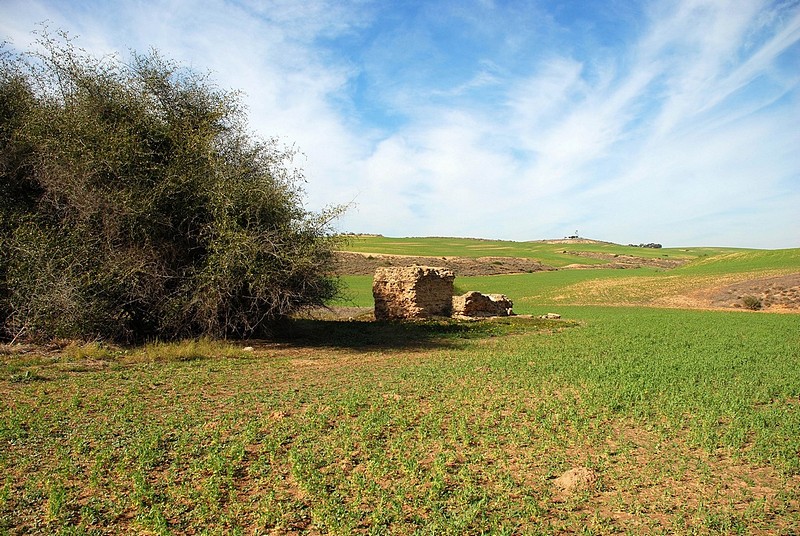 צילום: דורון  ברגר