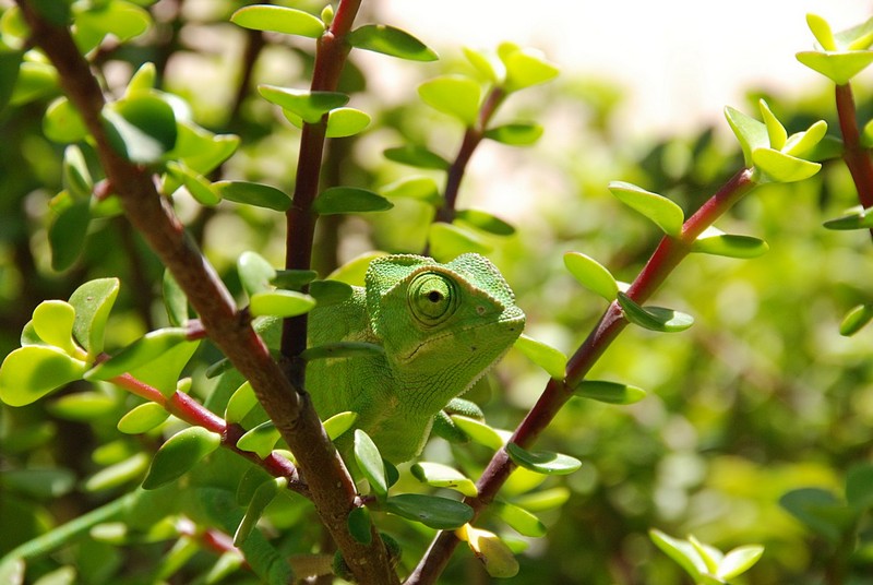 צילום: רני גולדין
