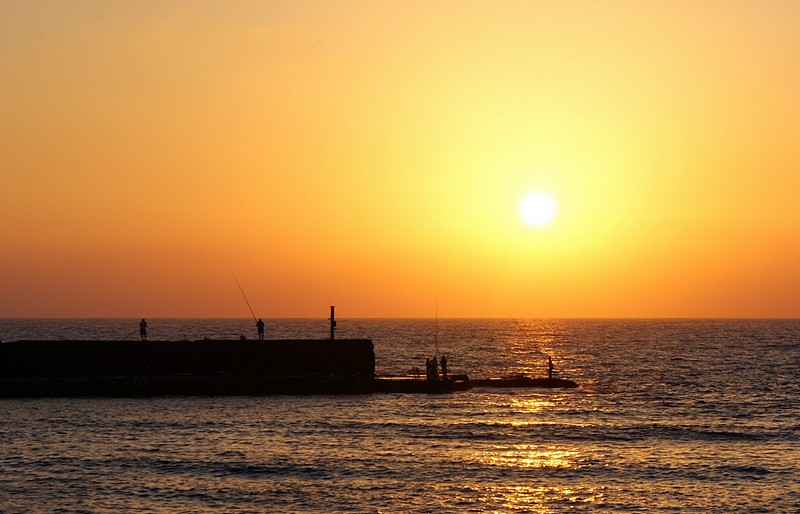 מקום העבודה: שובר גלים