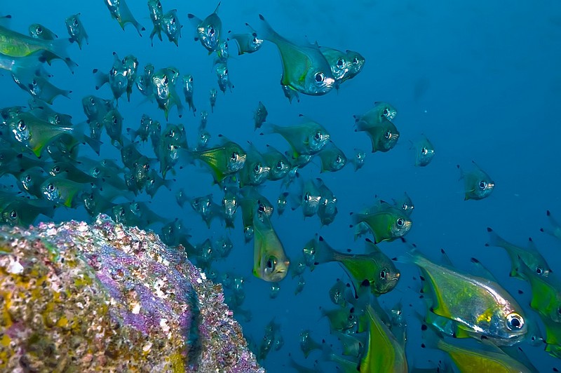 נגד כיוון התנועה