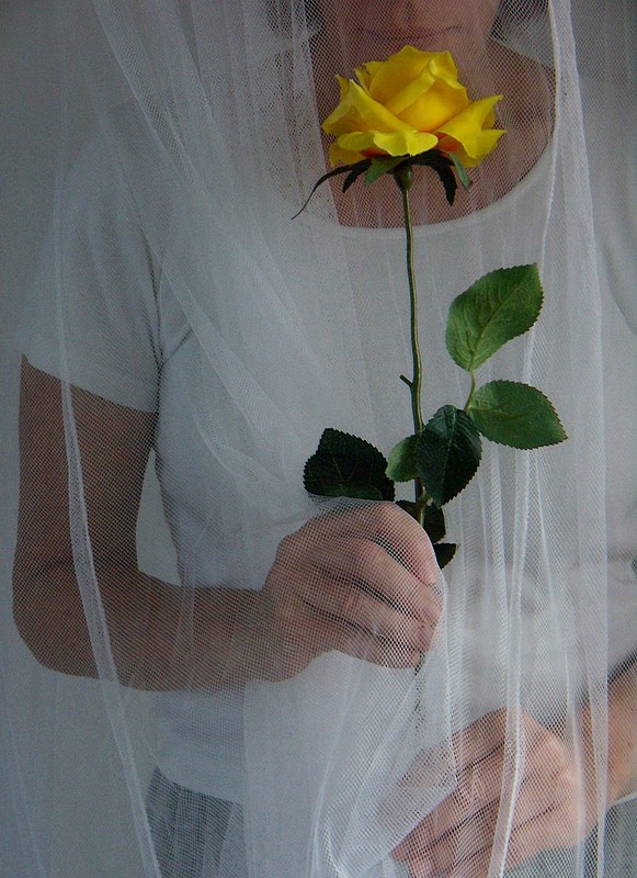 צילום: לולי לימור