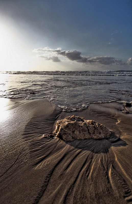 צילום: נועם מימון