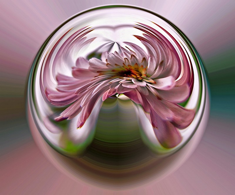 תחת זכוכית מגדלת