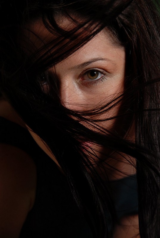 צילום: אלון ה